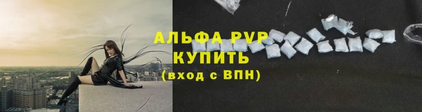 дурь Богданович