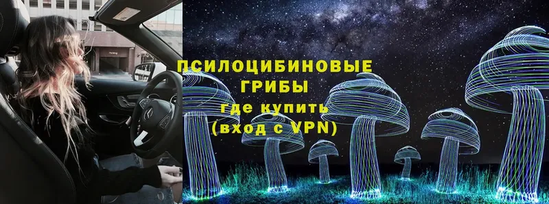 Псилоцибиновые грибы Magic Shrooms  omg ТОР  Коломна  хочу  